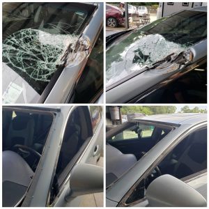 tree-falling-auto-repair
